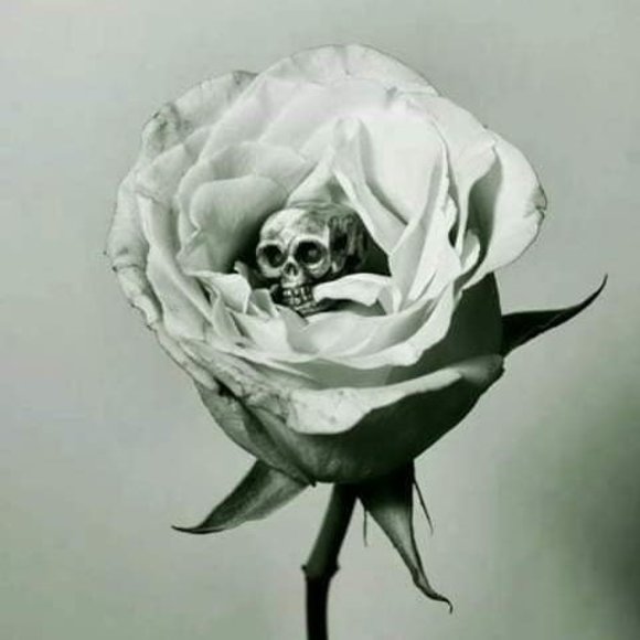 Meet your Posher, Andrew - Picture 1 of 1